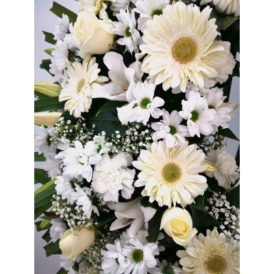 Comprar Corona Anemona en tons blancs Barcelona
