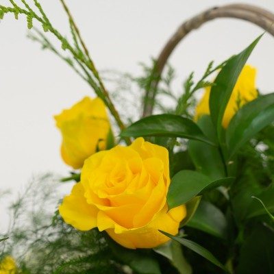 Comprar Cesta de rosas Barcelona