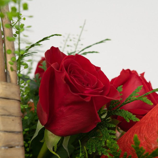 Comprar Cesta de rosas Barcelona Comprar Cesta de rosas Barcelona