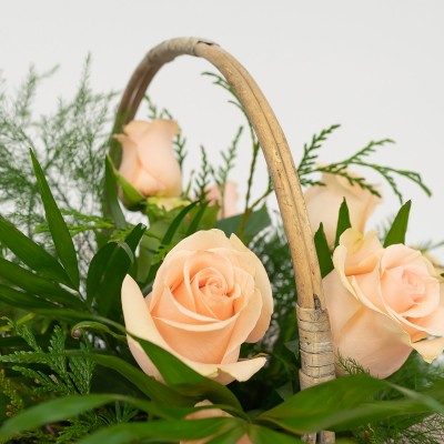 Comprar Cesta de rosas Barcelona