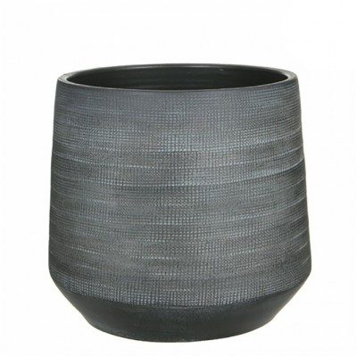 Comprar guido Barcelona