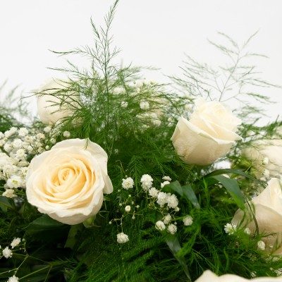 Comprar Cojín rosas blancas Barcelona