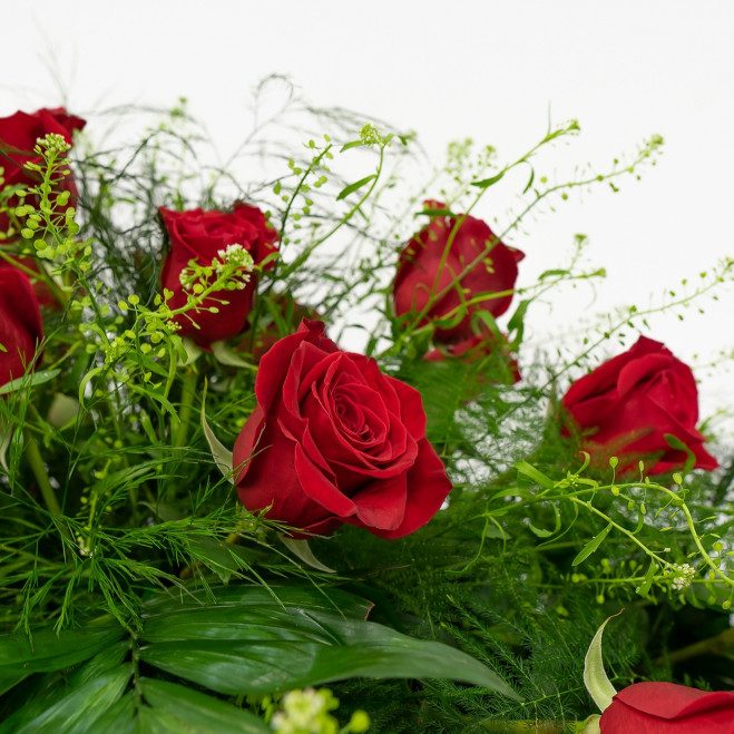 Comprar Cojín de rosas rojas cerradas Barcelona Comprar Cojín de rosas rojas cerradas Barcelona