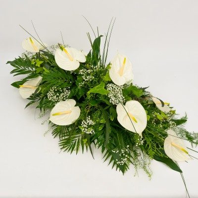 Comprar Detall d'anthuriums Barcelona