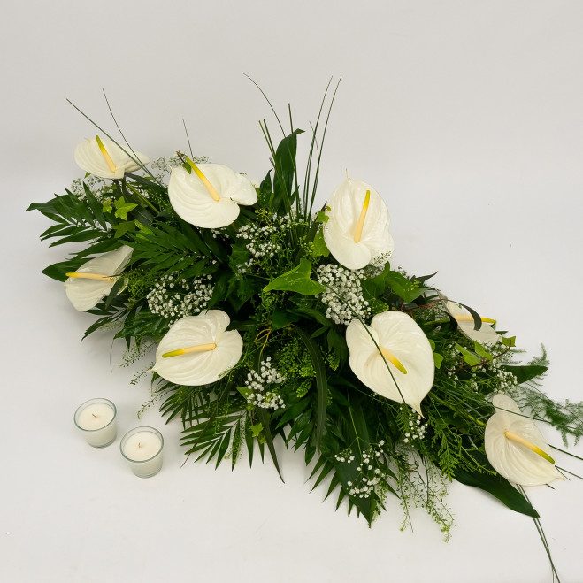 Comprar Detalle de anthuriums Barcelona Comprar Detalle de anthuriums Barcelona