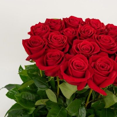 Comprar Vertical de 20 rosas Barcelona