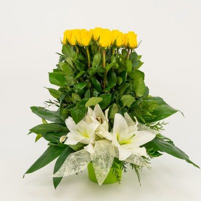 Comprar Vertical de 20 rosas Barcelona