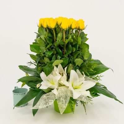 Comprar Vertical de 20 rosas Barcelona