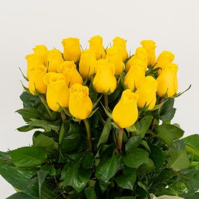 Comprar Vertical de 20 rosas Barcelona