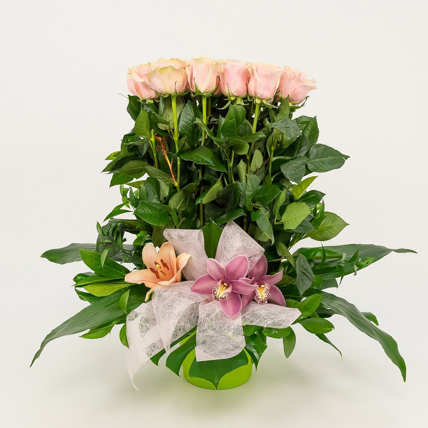 Comprar Vertical de 20 rosas Barcelona