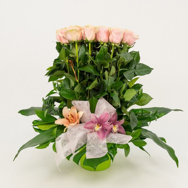 Comprar Vertical de 20 rosas Barcelona Comprar Vertical de 20 rosas Barcelona