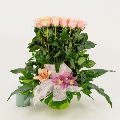 Comprar Vertical de 20 rosas Barcelona