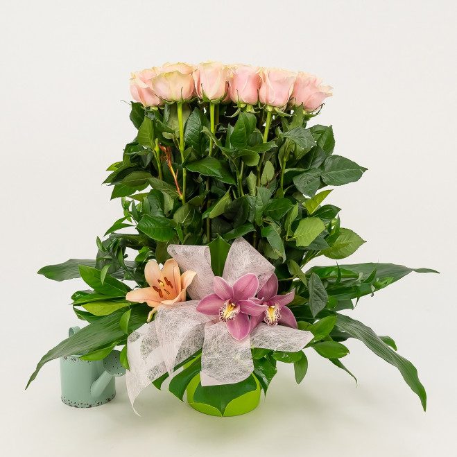 Comprar Vertical de 20 rosas Barcelona Comprar Vertical de 20 rosas Barcelona