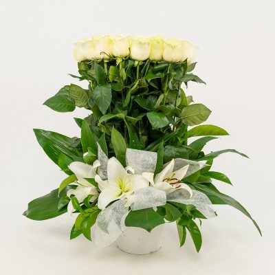 Comprar Vertical de 20 rosas Barcelona