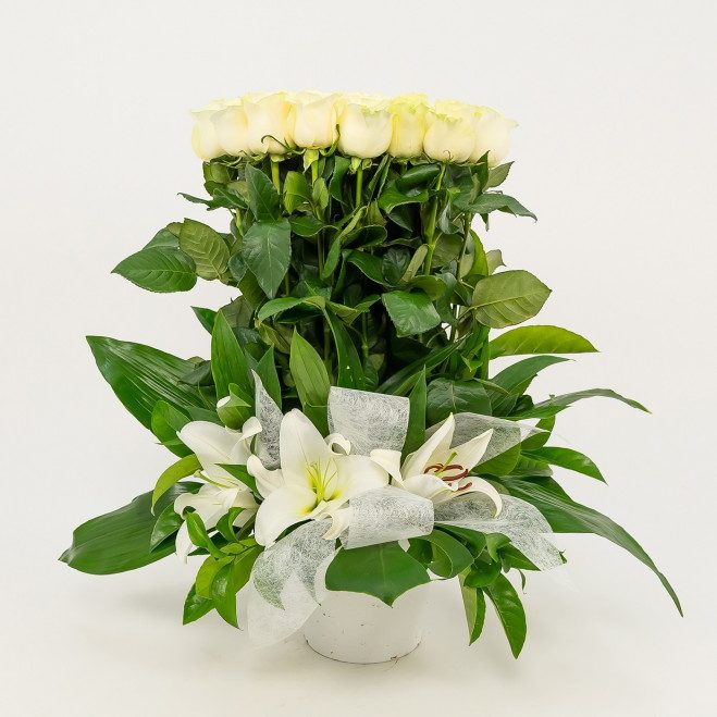 Comprar Vertical de 20 rosas Barcelona Comprar Vertical de 20 rosas Barcelona
