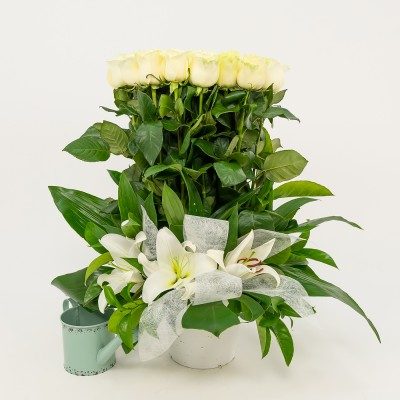 Comprar Vertical de 20 rosas Barcelona