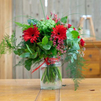 Comprar Minigerro silvestre tons vermells Barcelona