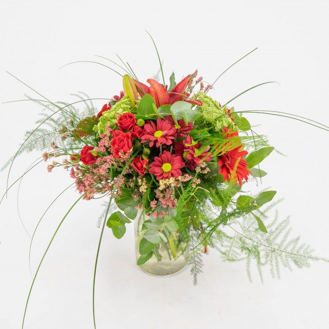 Comprar Minigerro silvestre tons vermells Barcelona