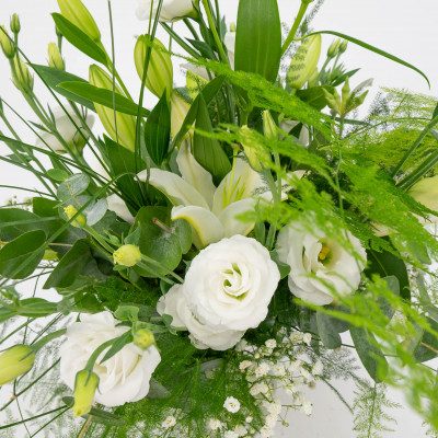 Comprar Minijarrón silvestre tonos blancos Barcelona
