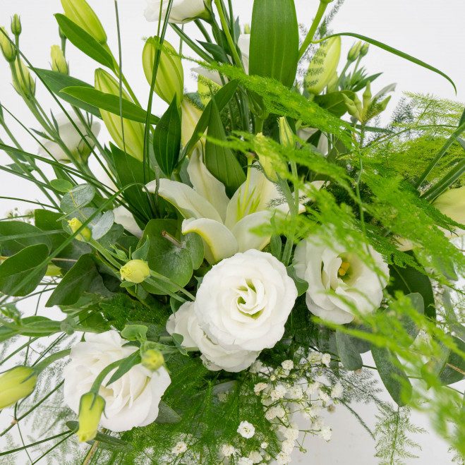 Comprar Minijarrón silvestre tonos blancos Barcelona Comprar Minijarrón silvestre tonos blancos Barcelona