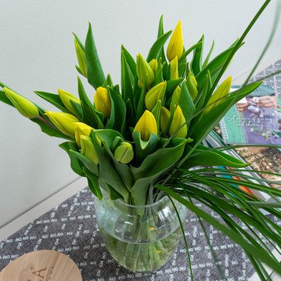 Comprar Gerro de tulipes Barcelona