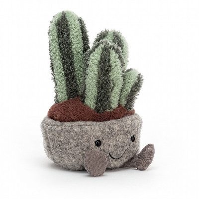 Comprar Silly Succulent Columnar Cactus Barcelona