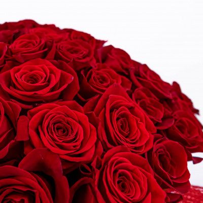 Comprar Bouquet de 101 rosas Barcelona