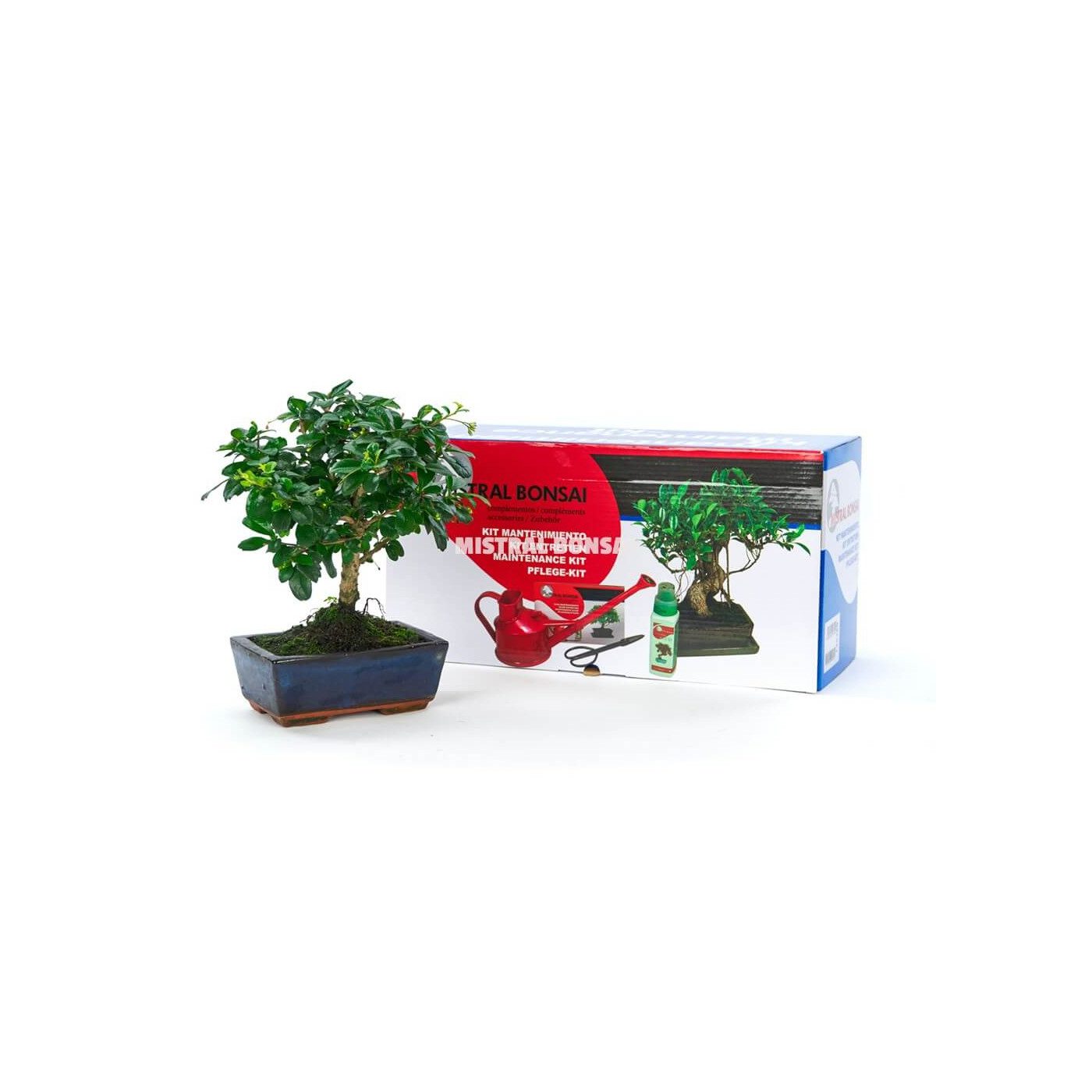 Comprar Kit Manteniment Bonsais Barcelona