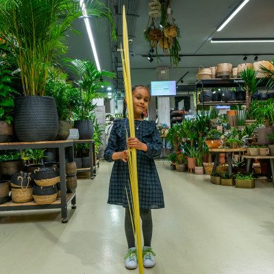 Comprar Mónago largo Barcelona