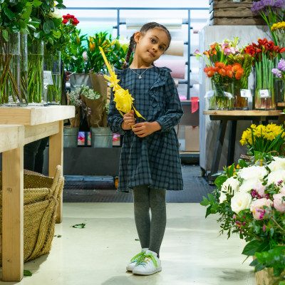 Comprar Llorer mitjà Barcelona