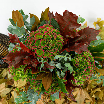 Comprar Ramo de hortensias Barcelona