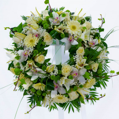 Comprar Coronita flor blanca Barcelona