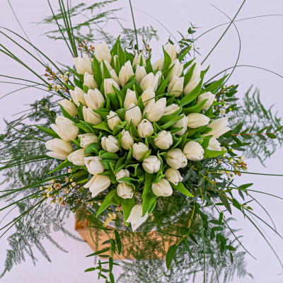 Comprar 51 tulipans blancs Barcelona