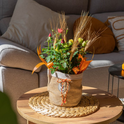 Comprar Planta de mini roser Barcelona