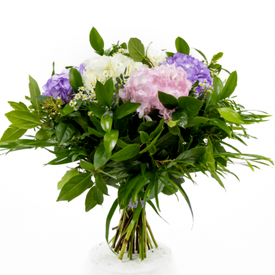 Comprar Ramo romántico de hortensias Barcelona