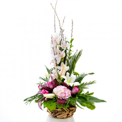 Comprar Cistella rústica orquídea Barcelona