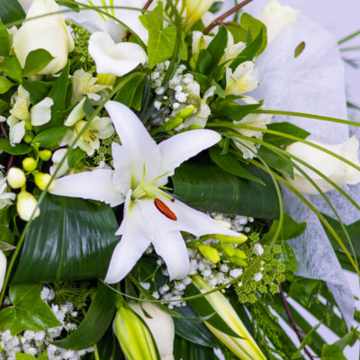 Comprar Coixí aire romàntic flor de temporada Barcelona