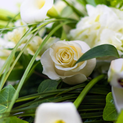 Comprar Coixí aire romàntic flor de temporada Barcelona