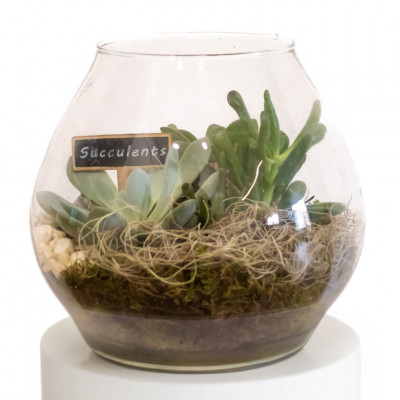 Comprar Namib Barcelona