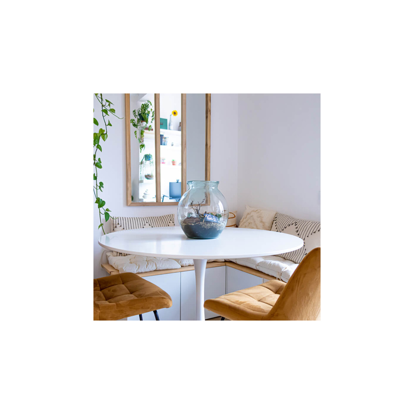Comprar Carcross Barcelona