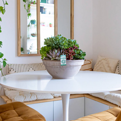 Comprar Crassbowl Barcelona