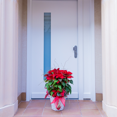 Comprar Composición poinsettias en base de mimbre Barcelona