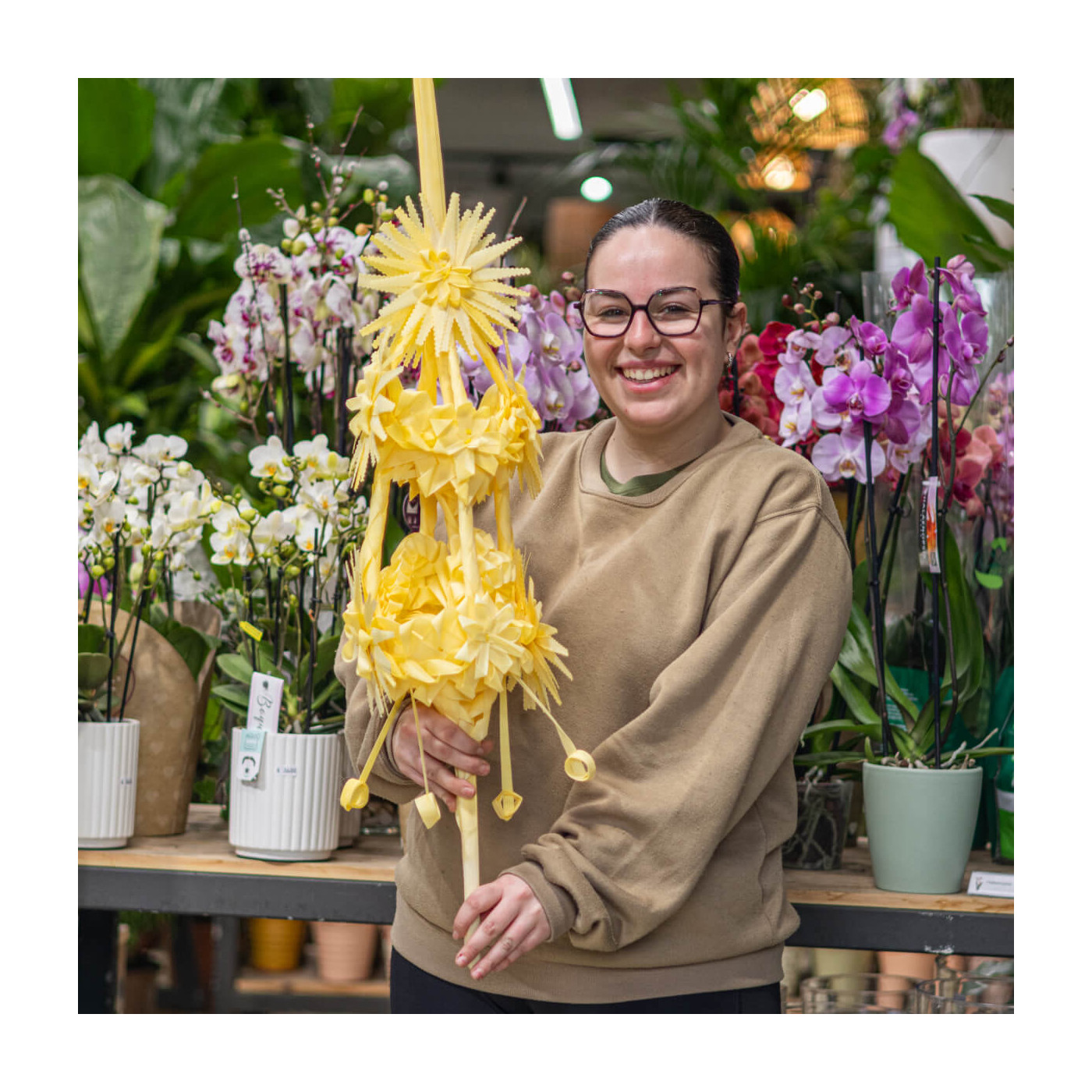 Comprar Il·lustre Barcelona
