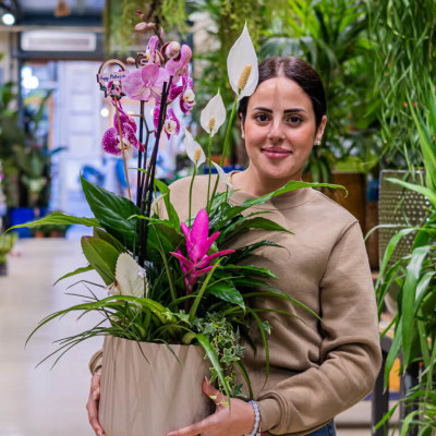 Comprar Composición exótica en cerámica Barcelona