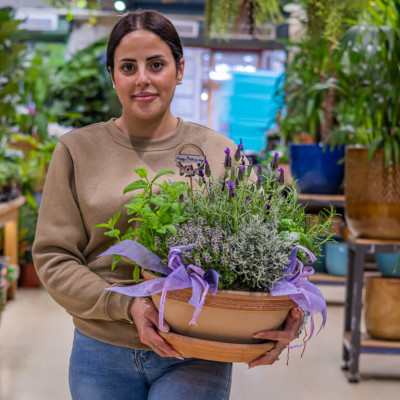 Comprar Composición plantas aromáticas Barcelona