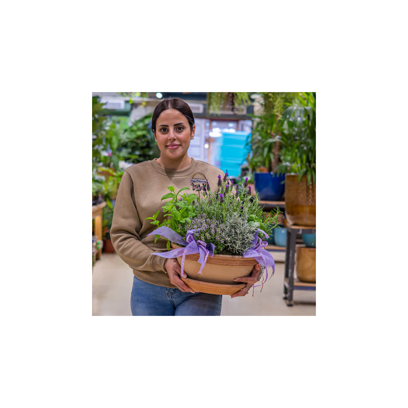 Comprar Composición plantas aromáticas Barcelona