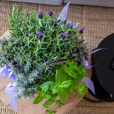 Comprar Composición plantas aromáticas Barcelona