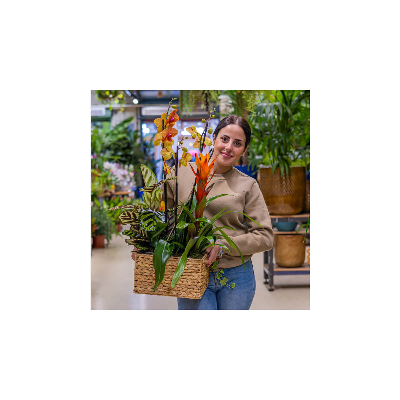 Comprar Grupo de plantas exuberante Barcelona