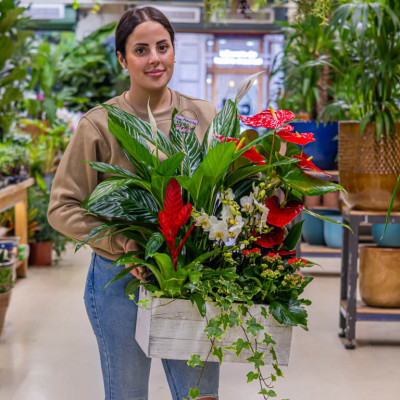 Comprar Caja jardín natural Barcelona