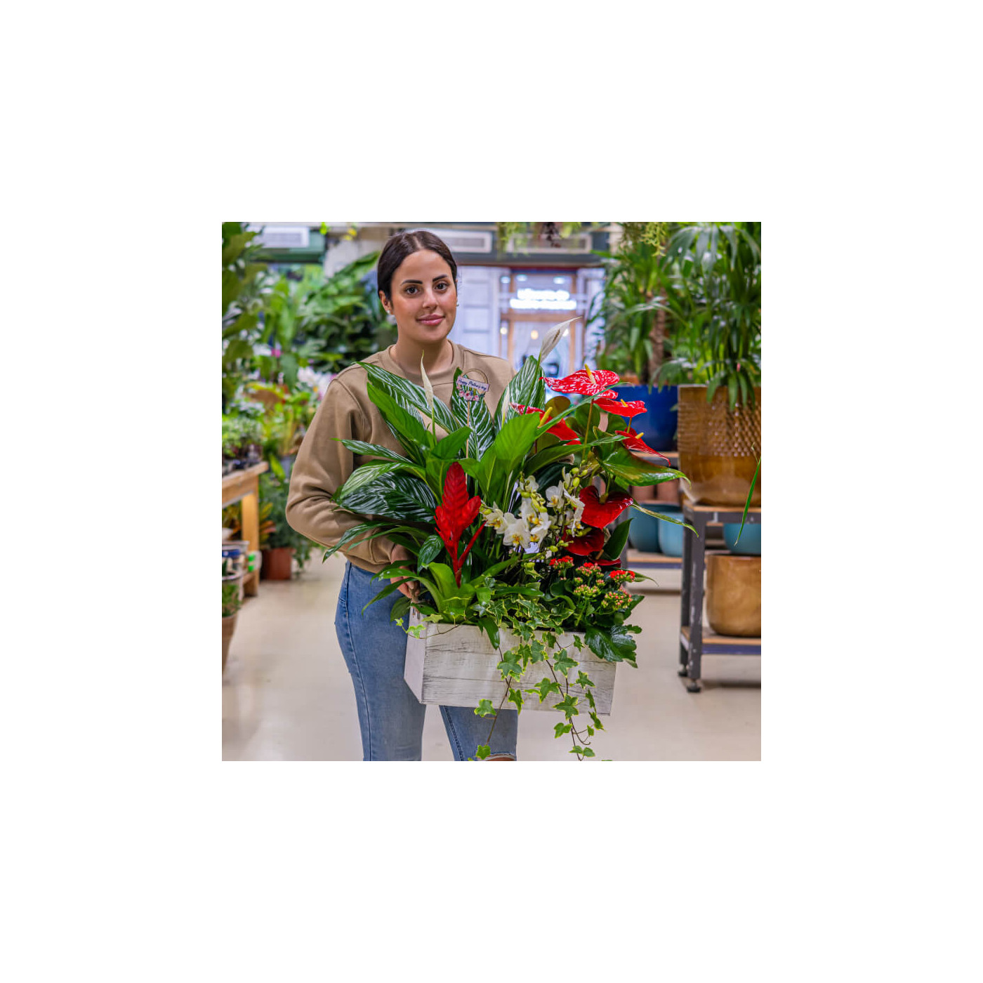 Comprar Caja jardín natural Barcelona